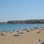 Tuntas Altinkum Didim