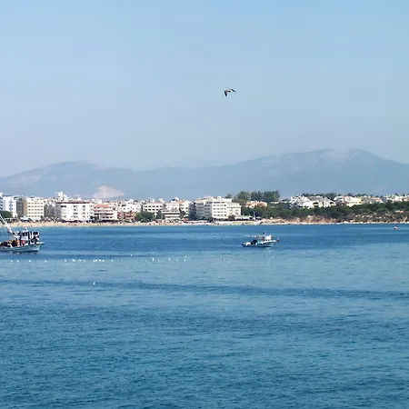 Tuntas Altinkum Didim